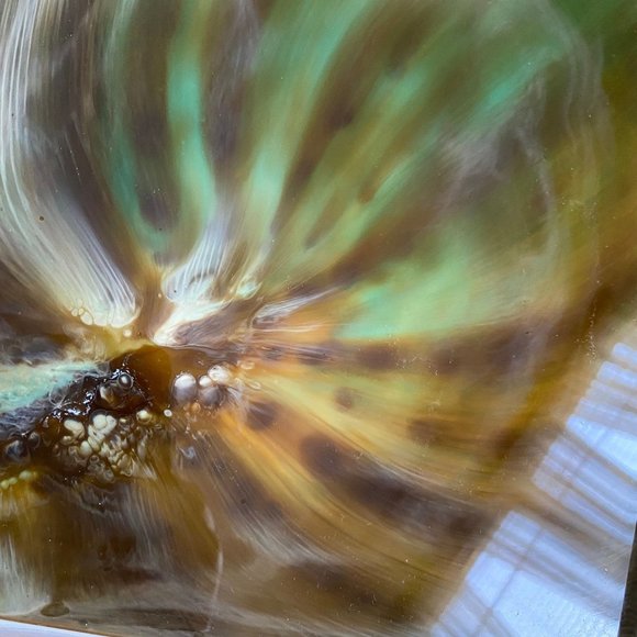 Original Art “Aura” Resin Artwork Painting by Tristina Dietz Elmes 9”x11” Frame - Picture 6 of 7